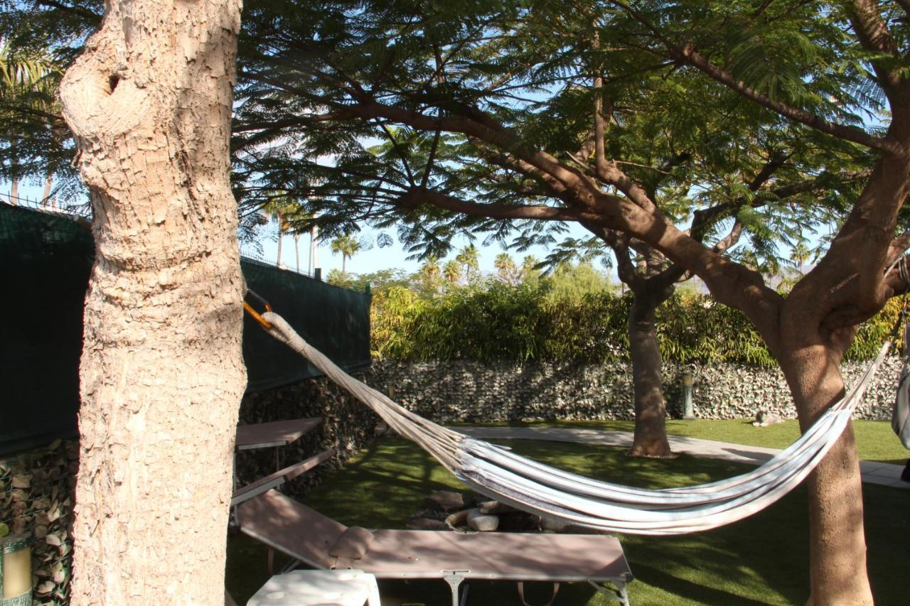 Albaricoques Vivac Bungalow San Bartolomé Esterno foto