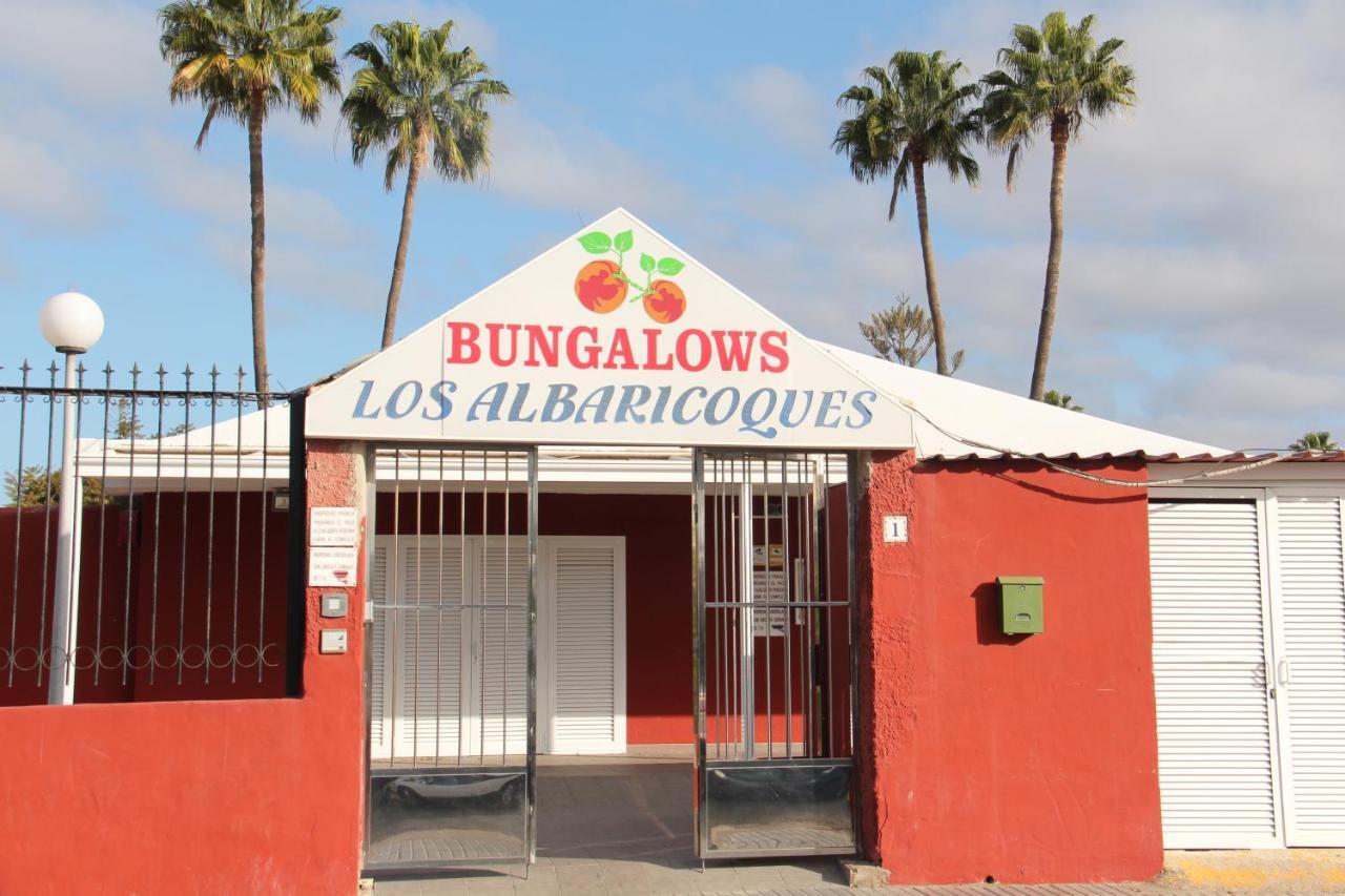 Albaricoques Vivac Bungalow San Bartolomé Esterno foto